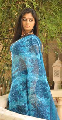 Manufacturers Exporters and Wholesale Suppliers of Hand Blocked Printed Saree Jaipur Rajasthan